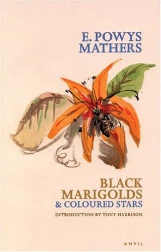 Cover of Black Marigolds & Coloured Stars