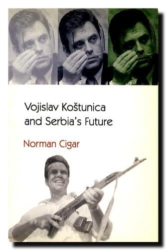 Cover of Vojislav Kostunica & Serbia's Future