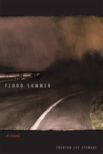 Cover of Flood Summer