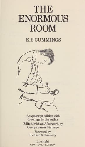 Cover of The Enormous Room