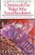 Cover of Christians in the Wake of the Sexual Revolution Recovering Our Sexual Sanity