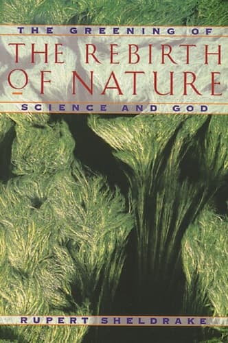 Cover of The Rebirth of Nature The Greening of Science and God
