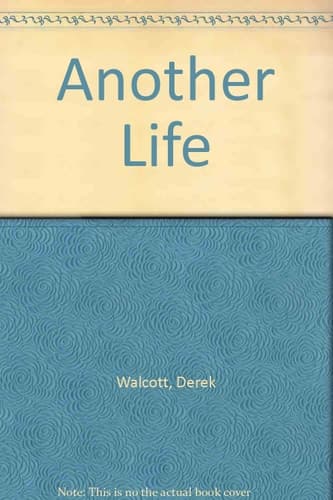 Cover of Another Life