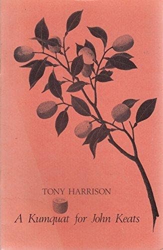 Cover of Kumquat for John Keats