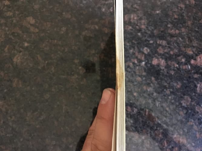 Cover of A Swinger of Birches Poems of Robert Frost for Young People