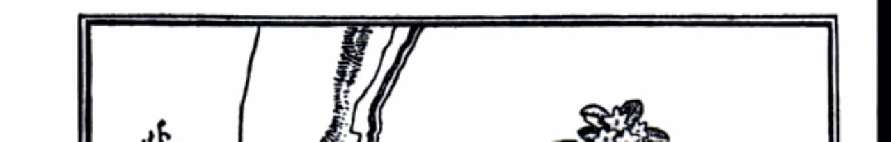 Cover of Evangeline A Tale of Acadie