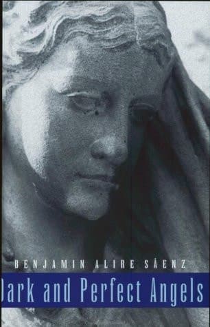 Cover of Dark and Perfect Angels: A Collection of Poems