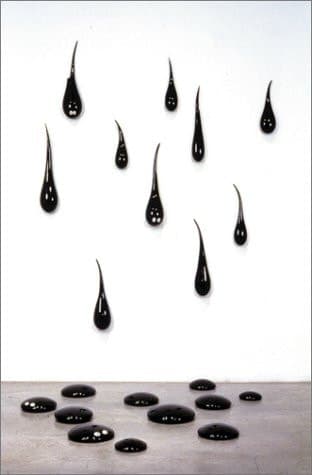 Cover of Fred Wilson: Black Like Me