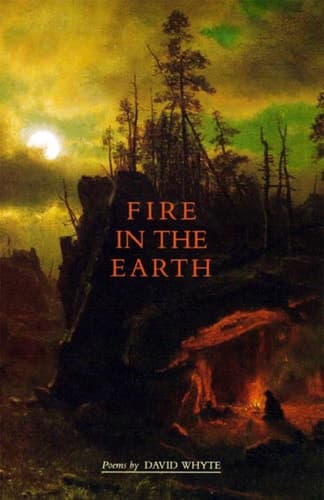 Cover of Fire in the Earth Poems