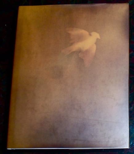 Cover of Adam Fuss
