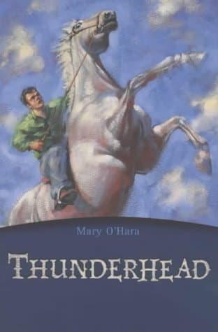 Cover of Thunderhead