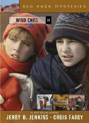 Cover of Wind Chill