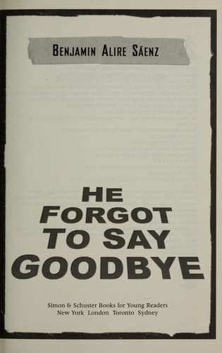 Cover of He Forgot to Say Goodbye