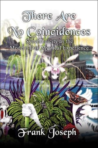 Cover of There Are No Coincidences Synchronicity as the Modern-Day Mystical Experience