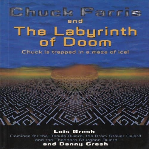 Cover of Chuck Farris and the Labyrinth of Doom An Action Story about PlayStation 2