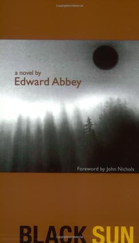 Cover of Black Sun