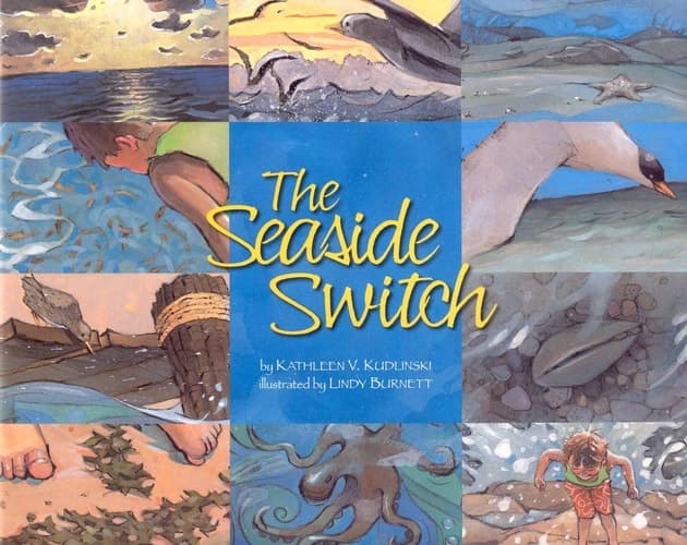 Cover of The Seaside Switch