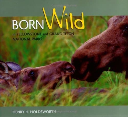 Cover of Born Wild in Yellowstone and Grand Teton National Parks