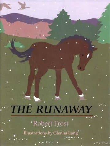 Cover of The Runaway