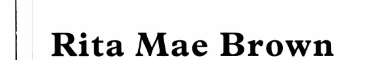 Cover of Cat on the Scent