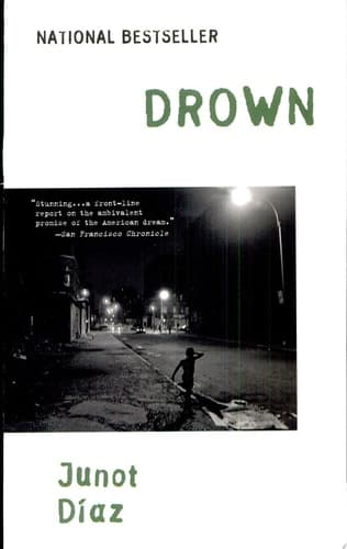 Cover of Drown