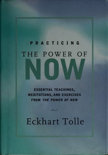 Cover of Practicing the Power of Now Essential Teachings, Meditations, and Exercises from the Power of Now