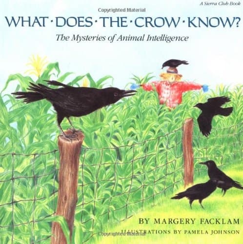 Cover of What Does the Crow Know? The Mysteries of Animal Intelligence