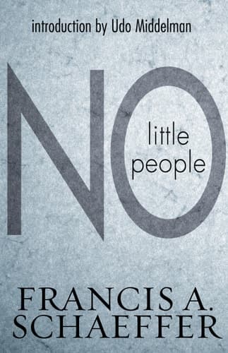 Cover of No Little People