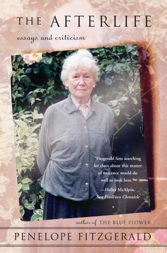 Cover of The Afterlife Essays and Criticism