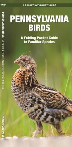 Cover of Pennsylvania Birds