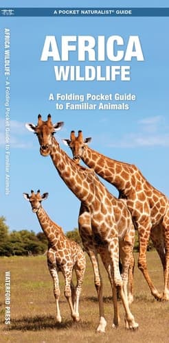 Cover of Africa Wildlife