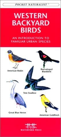 Cover of Western Backyard Birds