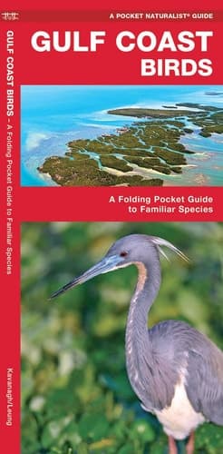 Cover of Gulf Coast Birds A Folding Pocket Guide to Familiar Species