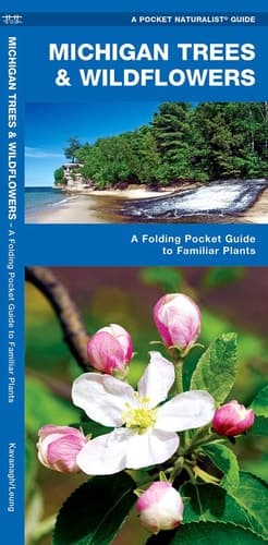 Cover of Michigan Trees & Wildflowers