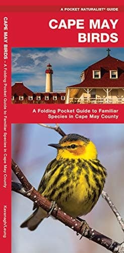 Cover of Cape May Birds A Folding Pocket Guide to Familiar Species in Cape May County