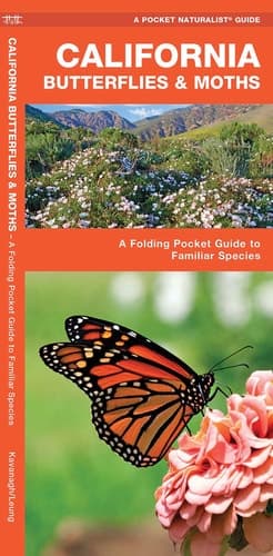 Cover of California Butterflies and Moths A Folding Pocket Guide to Familiar Species