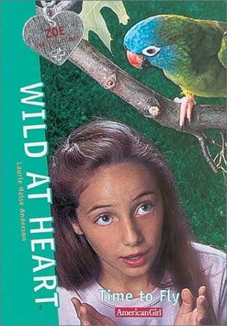 Cover of Time to Fly