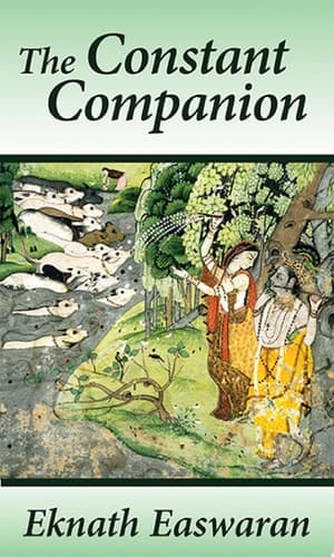 Cover of The Constant Companion The Thousand Names of Vishnu