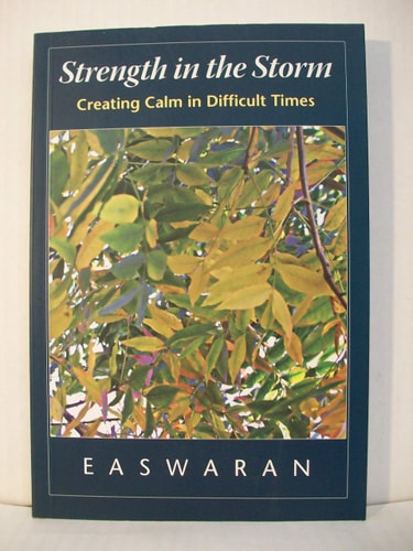 Cover of Strength in the Storm Creating Calm in Difficult Times