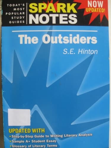 Cover of The Outsiders