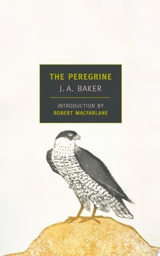 Cover of The Peregrine