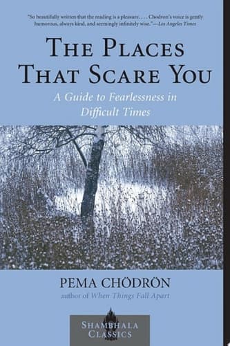 Cover of The Places That Scare You A Guide to Fearlessness in Difficult Times
