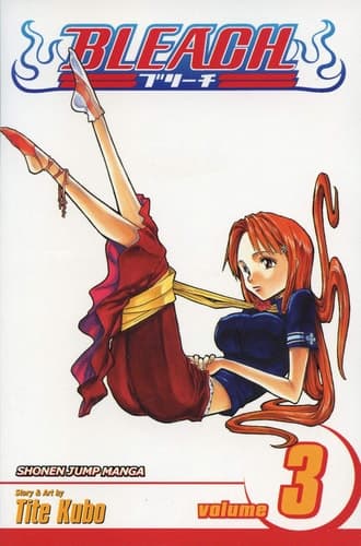 Cover of Bleach, Vol. 3 Memories in the Rain