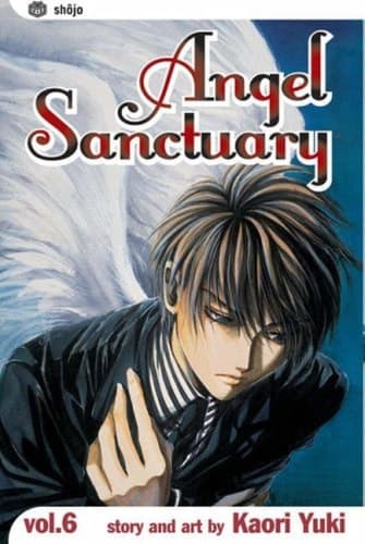 Cover of Angel Sanctuary