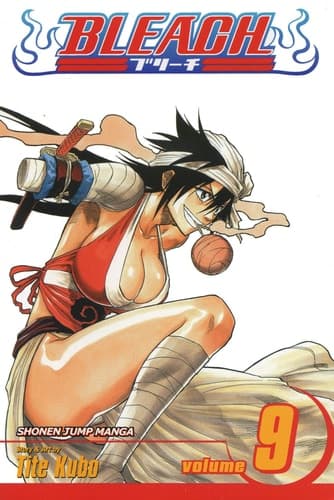 Cover of Bleach, Vol. 17