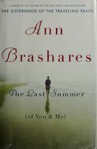 Cover of The Last Summer (of You and Me)