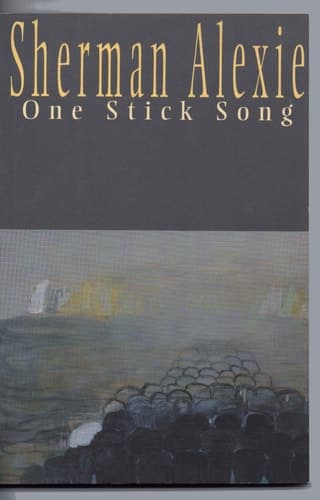 Cover of One Stick Song