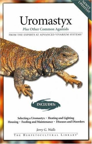 Cover of Uromastyx Plus Other Common Agamids
