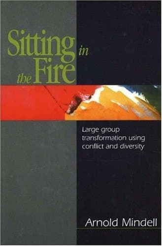 Cover of Sitting in the Fire: Large Group Transformation Using Conflict and Diversity
