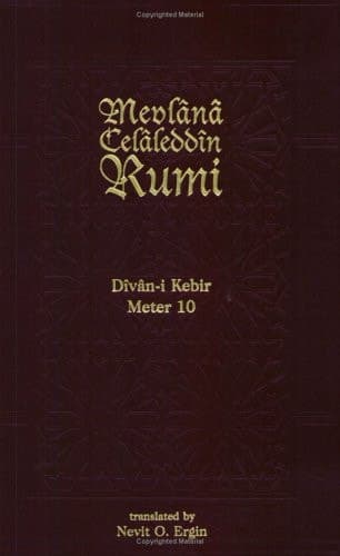 Cover of Divan-I Kebir, Meter 10